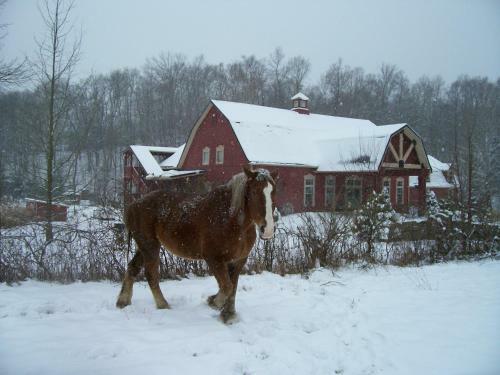 The Barn Inn Bed And Breakfast