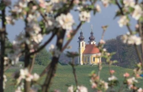 Hostal Kronprinz-rudolf-hof
