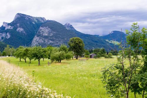 Apartamento Haus Loferer