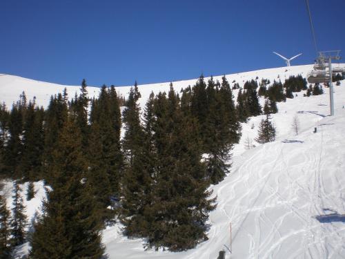Almrauschh�tte Markus
