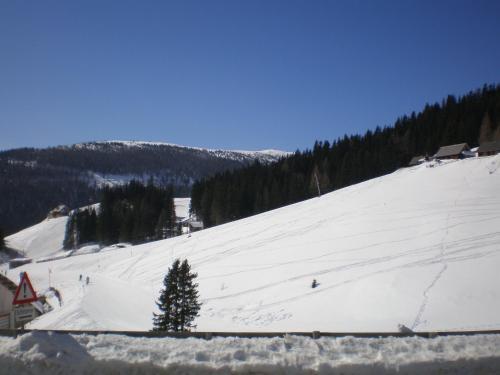 Almrauschh�tte Markus