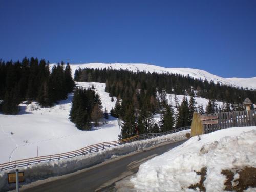 Almrauschh�tte Markus