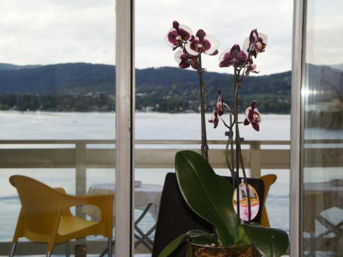 Apartamento Seehaus Gaby