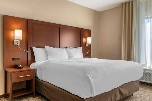 Hotel Comfort Suites Camp Hill-harrisburg West