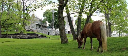 Rocky Acre Farm Bed & Breakfast