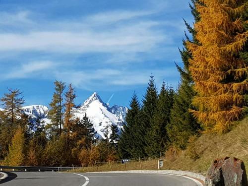 Hostal G�stehaus B�rwald