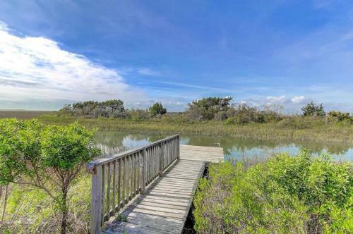 Salt Marsh