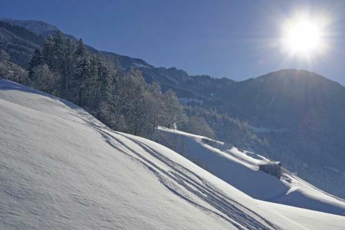 Apartamento Haus Alpenfriede