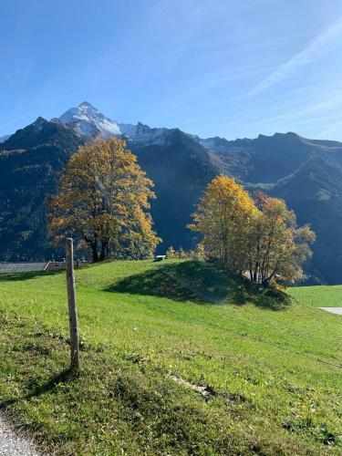 Alpen-apart