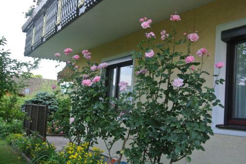 Bed & Breakfast Pension Windinger