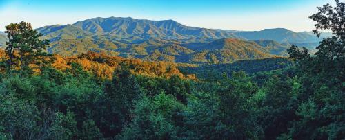 Mountain-view Estate On 1.61 Acres - Sleeps 25 Villa