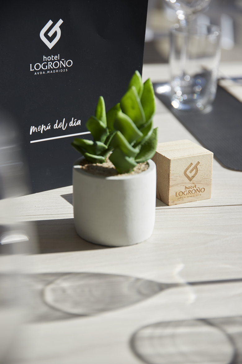 Iraipe Logro�o Hotel