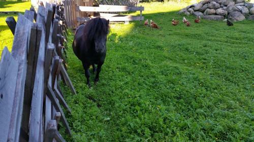 Apartamento Baby & Kinderbauernhof Stefflhof
