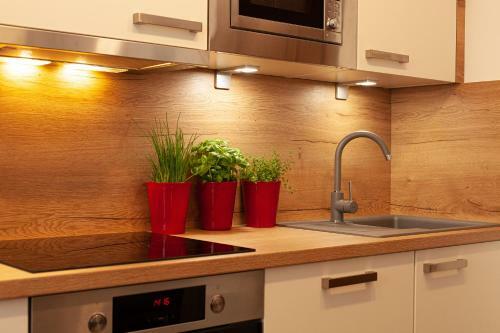 Apartamento Appartement Gimpl