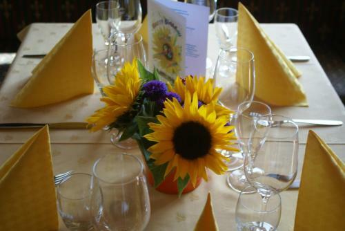 Hostal Landgasthof Trattnig