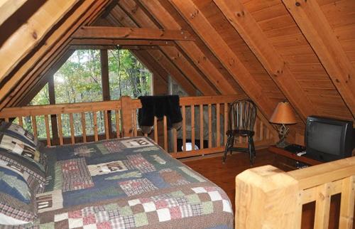 Mountain Bearadise Cabin