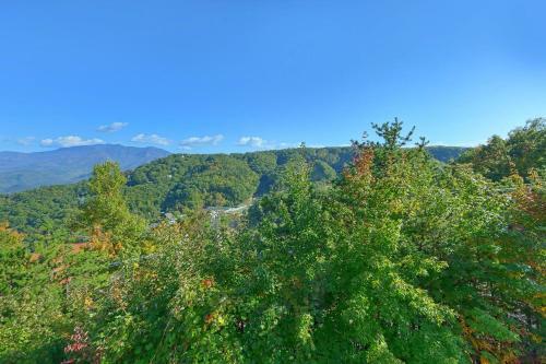 Tennessee Treasure #232 By Aunt Bug's Cabin Rentals