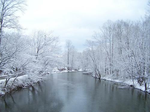 River Dreaming