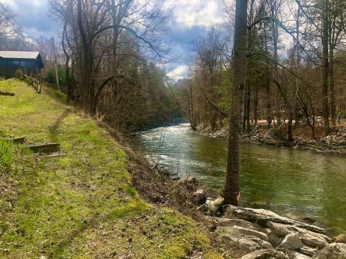 River Dreaming