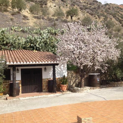 Apartamento Cortijo Pilongo