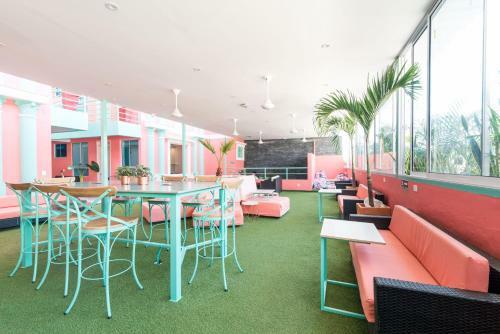 Hostal Flamingo Hostel & Coworking