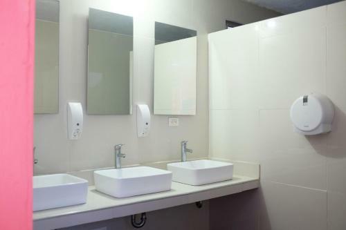 Hostal Flamingo Hostel & Coworking
