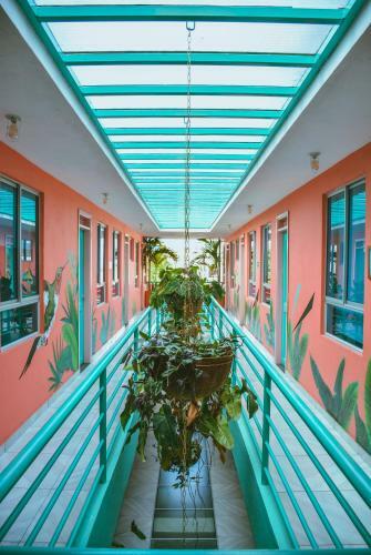 Hostal Flamingo Hostel & Coworking