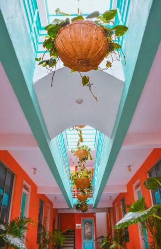 Hostal Flamingo Hostel & Coworking