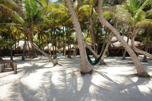 Zamas Hotel