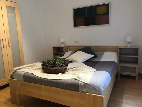 Apartamentos Ribera Navarra - Bardenas