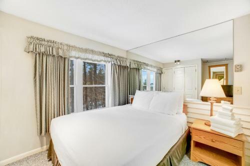 Mountainside Resort I