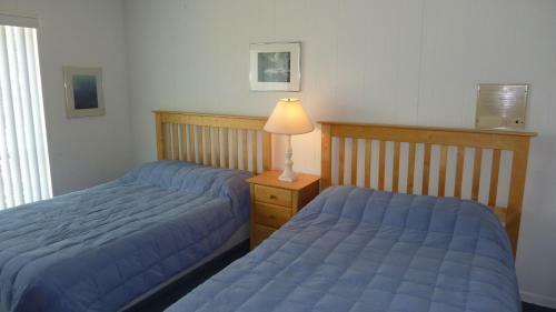 Atlantic Tabby By Jekyll Realty