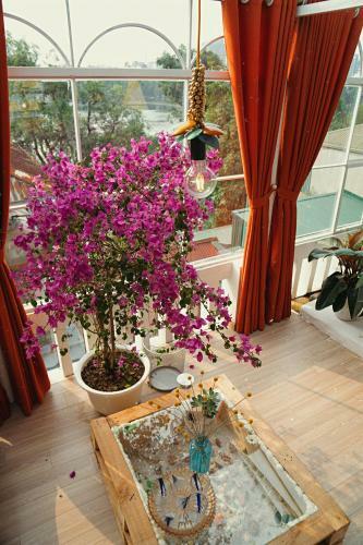 Amazing View - Langmandi House