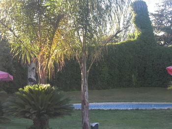 Hotel Don Gonzalo