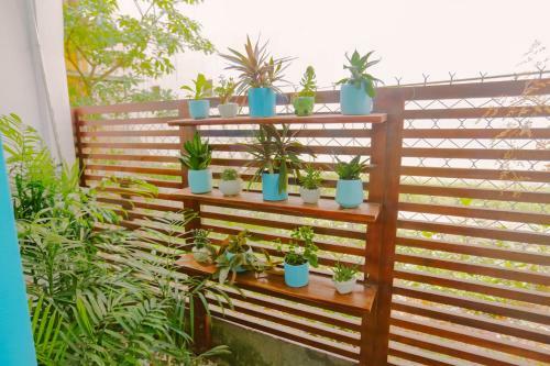 Bed & Breakfast T�v� Hostel