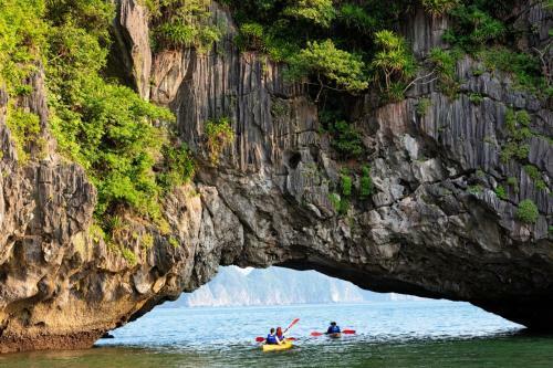 Indochine Cruise