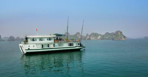 White Dolphin Cruises