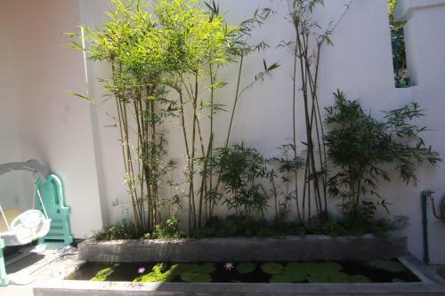 Apartamento Le House