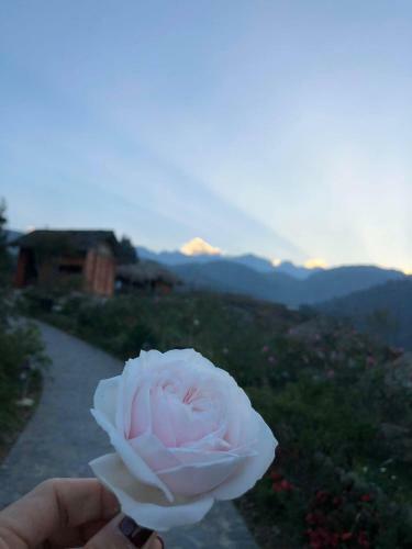 Apartamento Rose Farm Homestay