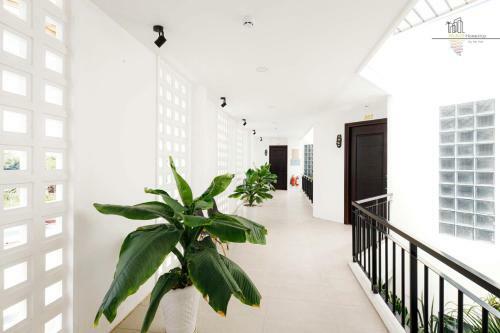 Hotel Klaus Homestay By The River
