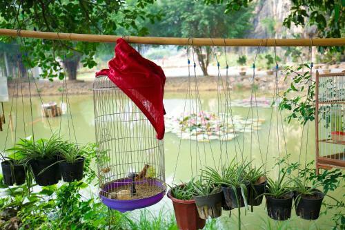Posada Trang An Passion Homestay