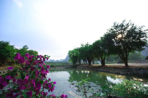 Posada Trang An Passion Homestay