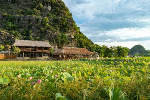 M??ng Village Ninh B�nh