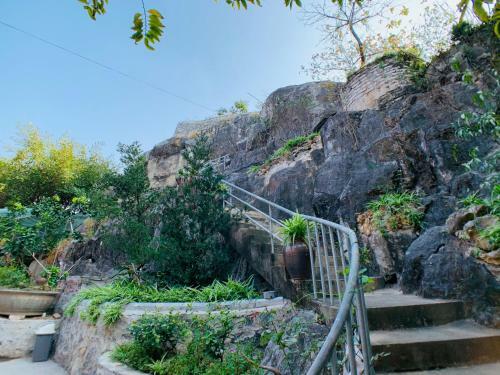 Trang An Mountainside Homestay