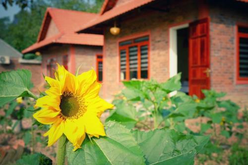 Hotel Chinh Thu Eco Garden