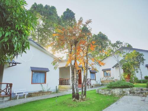 Lodge Bungalow Vinahouse