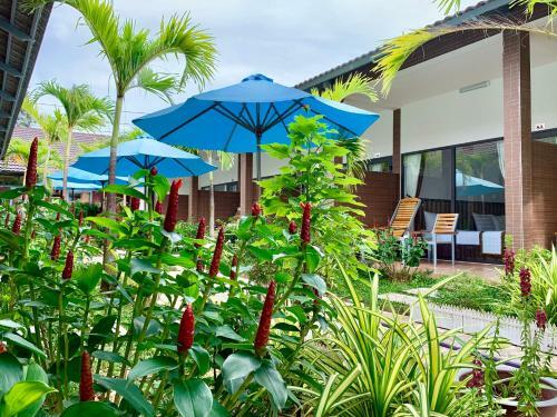 Hostal Canary Bungalow