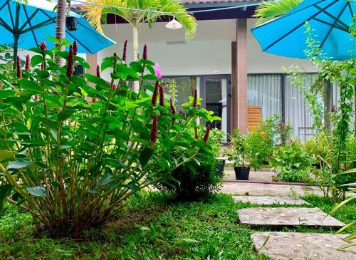 Hostal Canary Bungalow