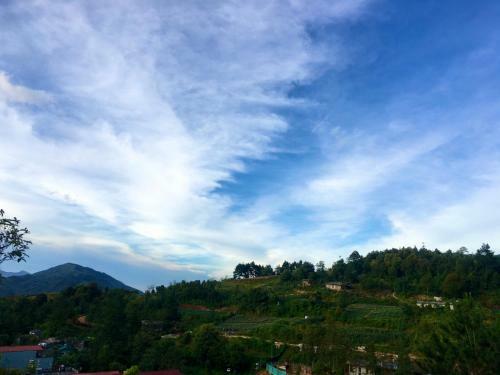 The Hill Sapa Homestay