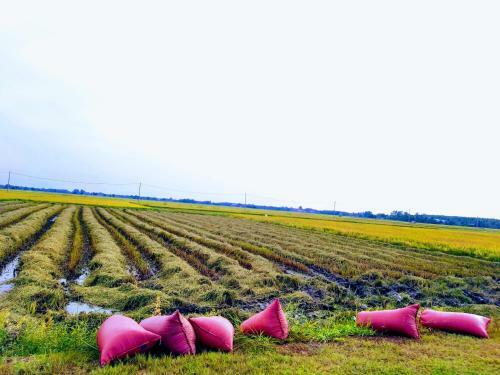 Cu Chi Boutique Farmstay